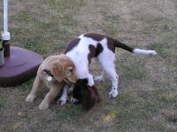 P7170434.JPG - 2005:07:17 18:47:24