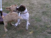 P7170435.JPG - 2005:07:17 18:47:25