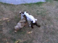 P7170436.JPG - 2005:07:17 18:47:33