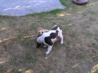 P7170437.JPG - 2005:07:17 18:47:39