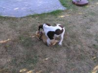 P7170438.JPG - 2005:07:17 18:47:39