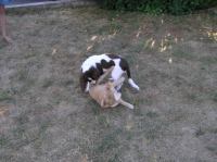 P7170439.JPG - 2005:07:17 18:47:48