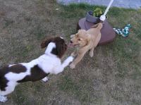 P7170440.JPG - 2005:07:17 18:48:06