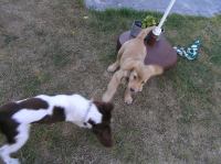 P7170441.JPG - 2005:07:17 18:48:06