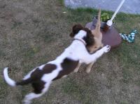 P7170442.JPG - 2005:07:17 18:48:07