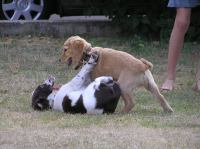 P7170443.JPG - 2005:07:17 18:54:17