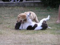 P7170444.JPG - 2005:07:17 18:54:17