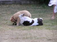 P7170445.JPG - 2005:07:17 18:54:18