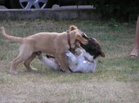 P7170446.JPG - 2005:07:17 18:54:27