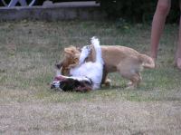 P7170447.JPG - 2005:07:17 18:54:33