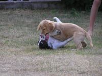 P7170448.JPG - 2005:07:17 18:54:34