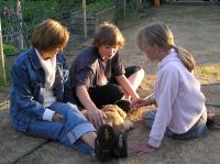 P7170455.JPG - 2005:07:17 20:09:05