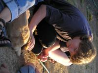 P7170456.JPG - 2005:07:17 20:09:16