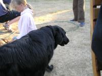 P7170459.JPG - 2005:07:17 20:09:32