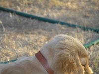 P7170460.JPG - 2005:07:17 20:09:42