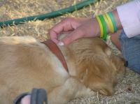 P7170461.JPG - 2005:07:17 20:09:49