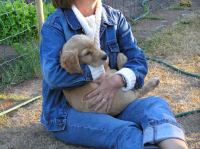 P7170462.JPG - 2005:07:17 20:10:08