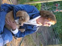 P7170463.JPG - 2005:07:17 20:10:10