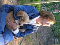 P7170464.JPG - 2005:07:17 20:10:11