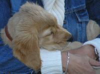 P7170465.JPG - 2005:07:17 20:10:27