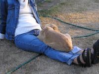 P7170466.JPG - 2005:07:17 20:12:36