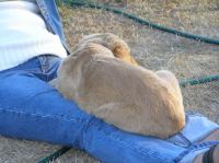 P7170467.JPG - 2005:07:17 20:12:40