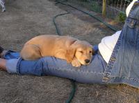 P7170468.JPG - 2005:07:17 20:13:45