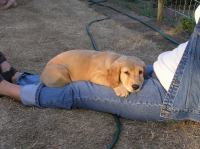 P7170469.JPG - 2005:07:17 20:13:46