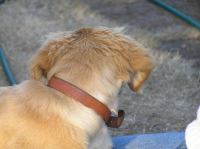 P7170470.JPG - 2005:07:17 20:13:50