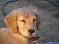 P7170471.JPG - 2005:07:17 20:13:58