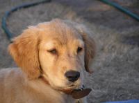 P7170472.JPG - 2005:07:17 20:13:59