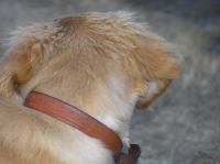 P7170473.JPG - 2005:07:17 20:14:05