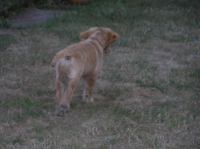 P7170474.JPG - 2005:07:17 20:14:57