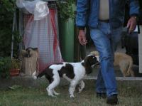 P7170475.JPG - 2005:07:17 20:15:12