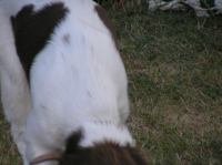 P7170476.JPG - 2005:07:17 20:15:20