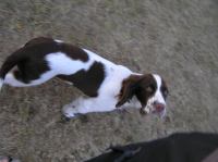 P7170477.JPG - 2005:07:17 20:15:26