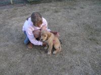 P7170478.JPG - 2005:07:17 20:15:32