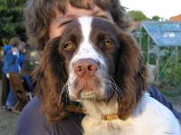 P7170479.JPG - 2005:07:17 20:15:38