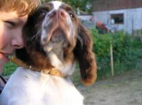 P7170481.JPG - 2005:07:17 20:15:49