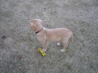 P7170484.JPG - 2005:07:17 20:19:17