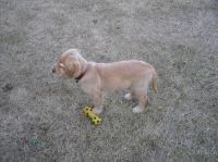 P7170485.JPG - 2005:07:17 20:19:18