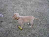 P7170486.JPG - 2005:07:17 20:19:18