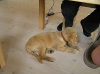 P7170410.JPG - 2005:07:17 12:08:04