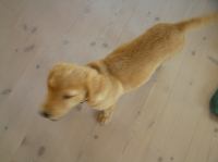 P7300003.JPG - 2005:07:30 20:05:28