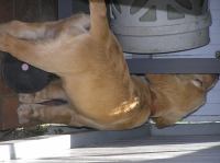 P7310013.JPG - 2005:07:31 11:53:40