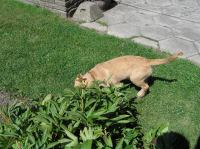 P7310014.JPG - 2005:07:31 11:53:52