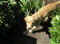 P7310015.JPG - 2005:07:31 11:53:56