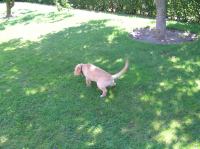 P7310016.JPG - 2005:07:31 11:55:19