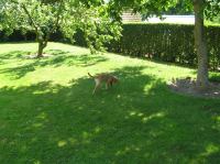 P7310017.JPG - 2005:07:31 11:55:28