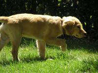 P7310018.JPG - 2005:07:31 11:55:34